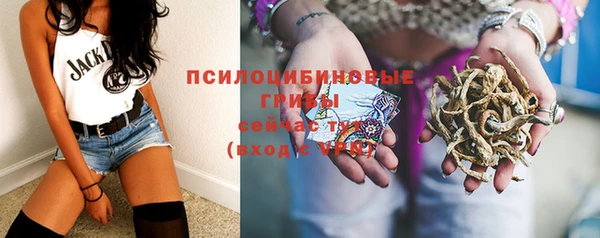 молекула духа Армянск