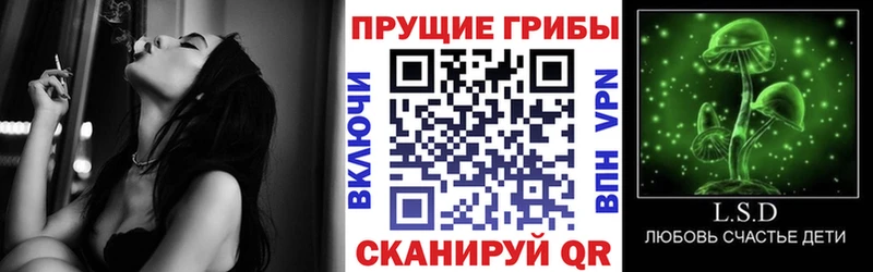 купить наркотики цена  Ревда  Псилоцибиновые грибы Cubensis 